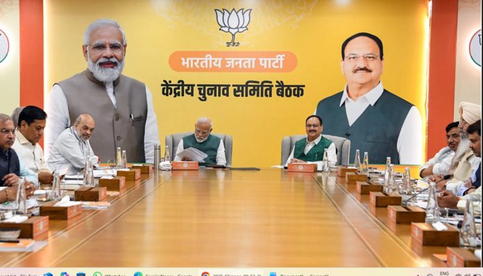 Who elects the National President of BJP?