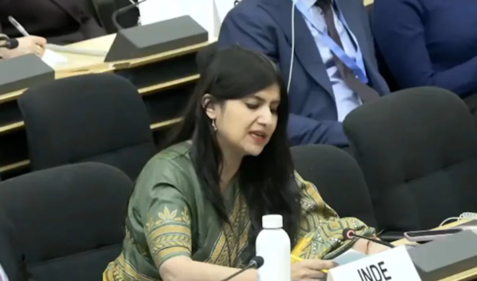 What did Anupama Singh say in the UN Council?